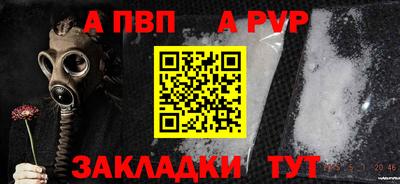 индика Кингисепп
