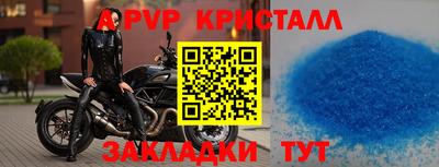 индика Кингисепп