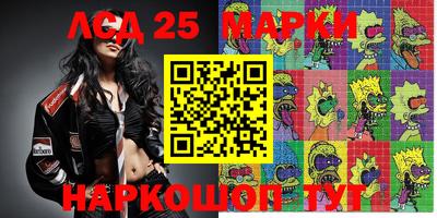 индика Кингисепп