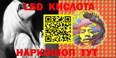 индика Кингисепп