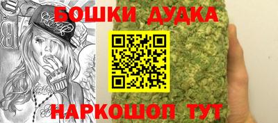 индика Кингисепп