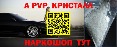 индика Кингисепп