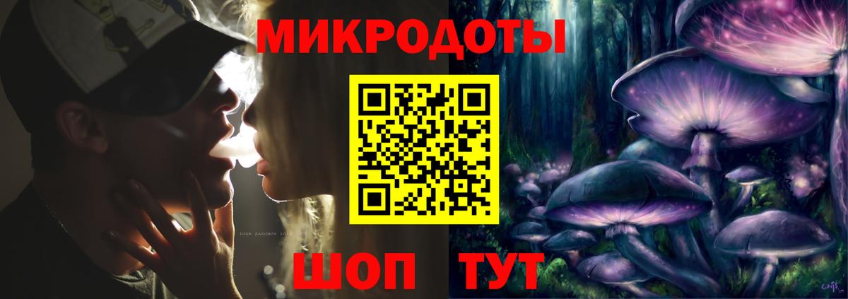 Псилоцибиновые грибы Psilocybine cubensis Кстово
